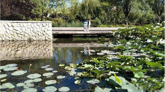 园林专业就业前景(北京林业大学风景园林专业就业前景)