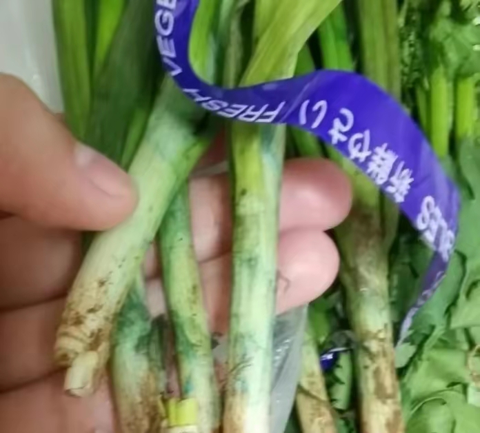 今天去超市买了一把小葱,回来发现小.@赵渔儿的动态