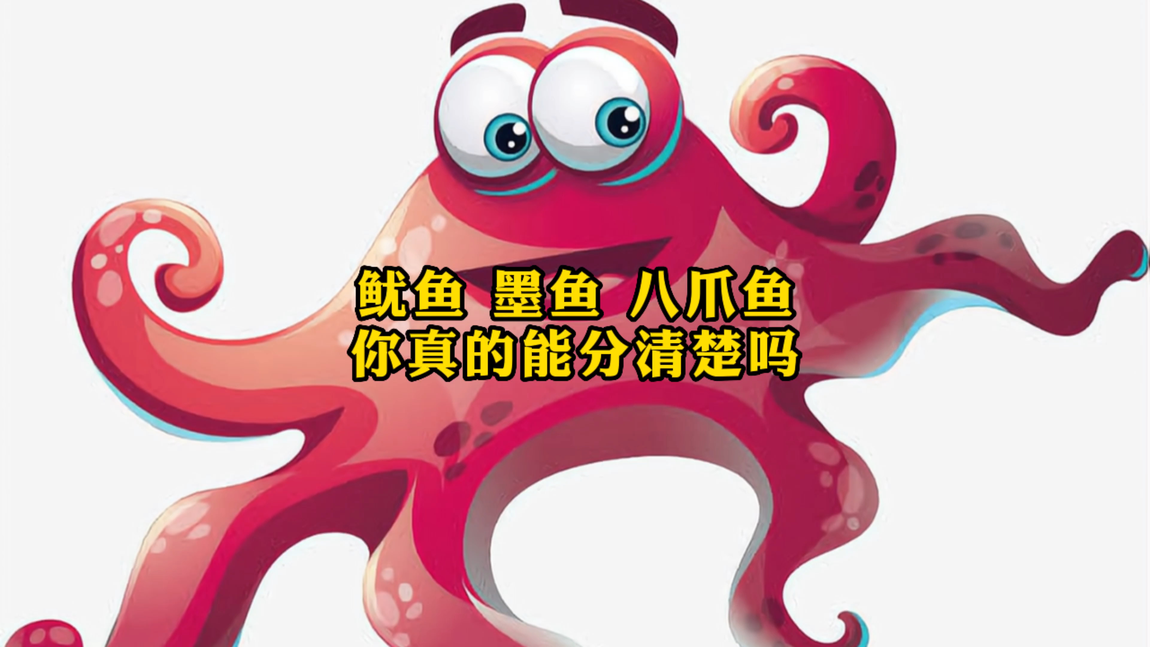你能分清楚鱿鱼 墨鱼 八爪鱼吗