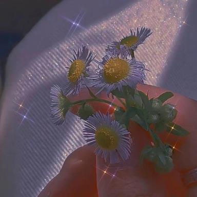 惊艳了时光的手帐小众文案,短小精致,唯美清新