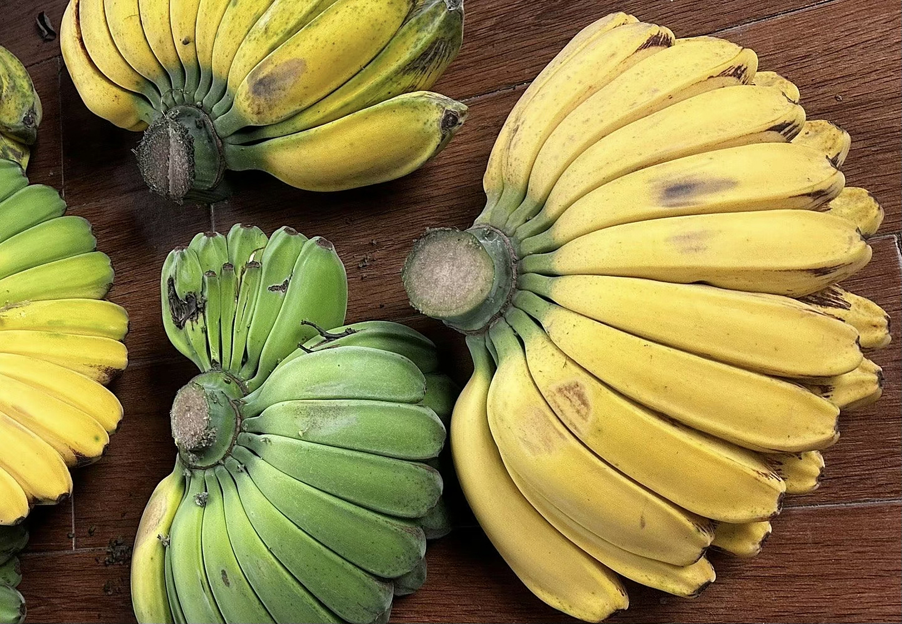 最有佛缘的水果,佛手蕉