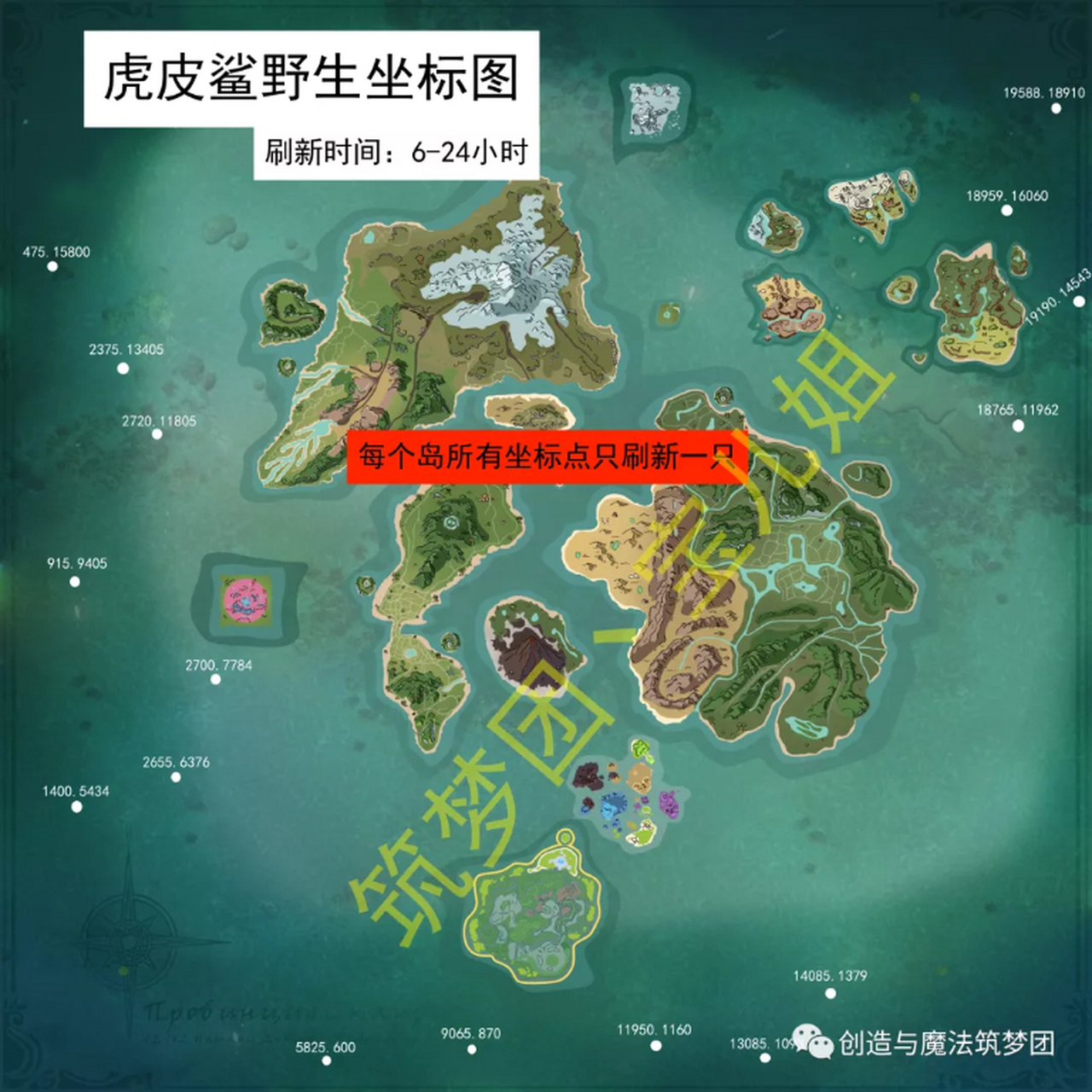 创造与魔法虎皮鲨图片