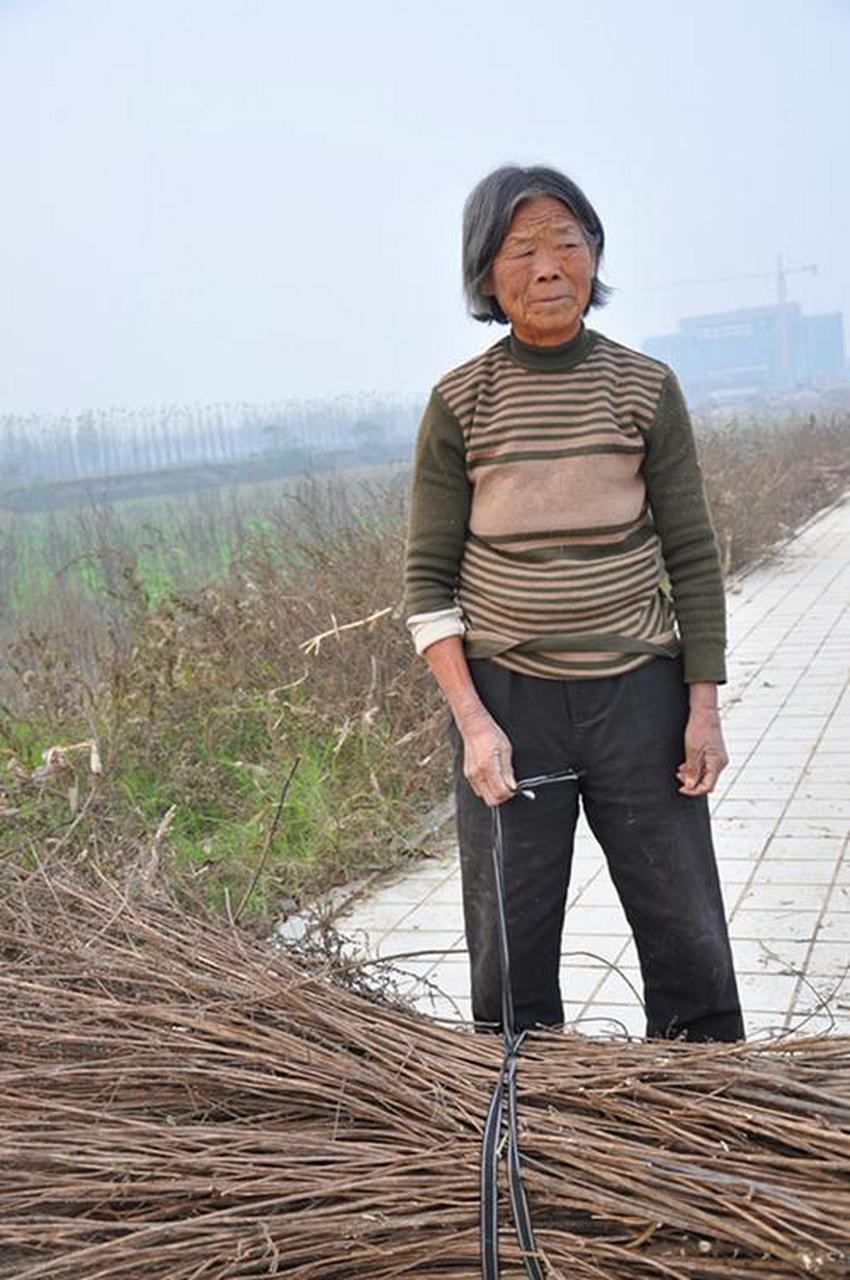 40岁妇女农村图片