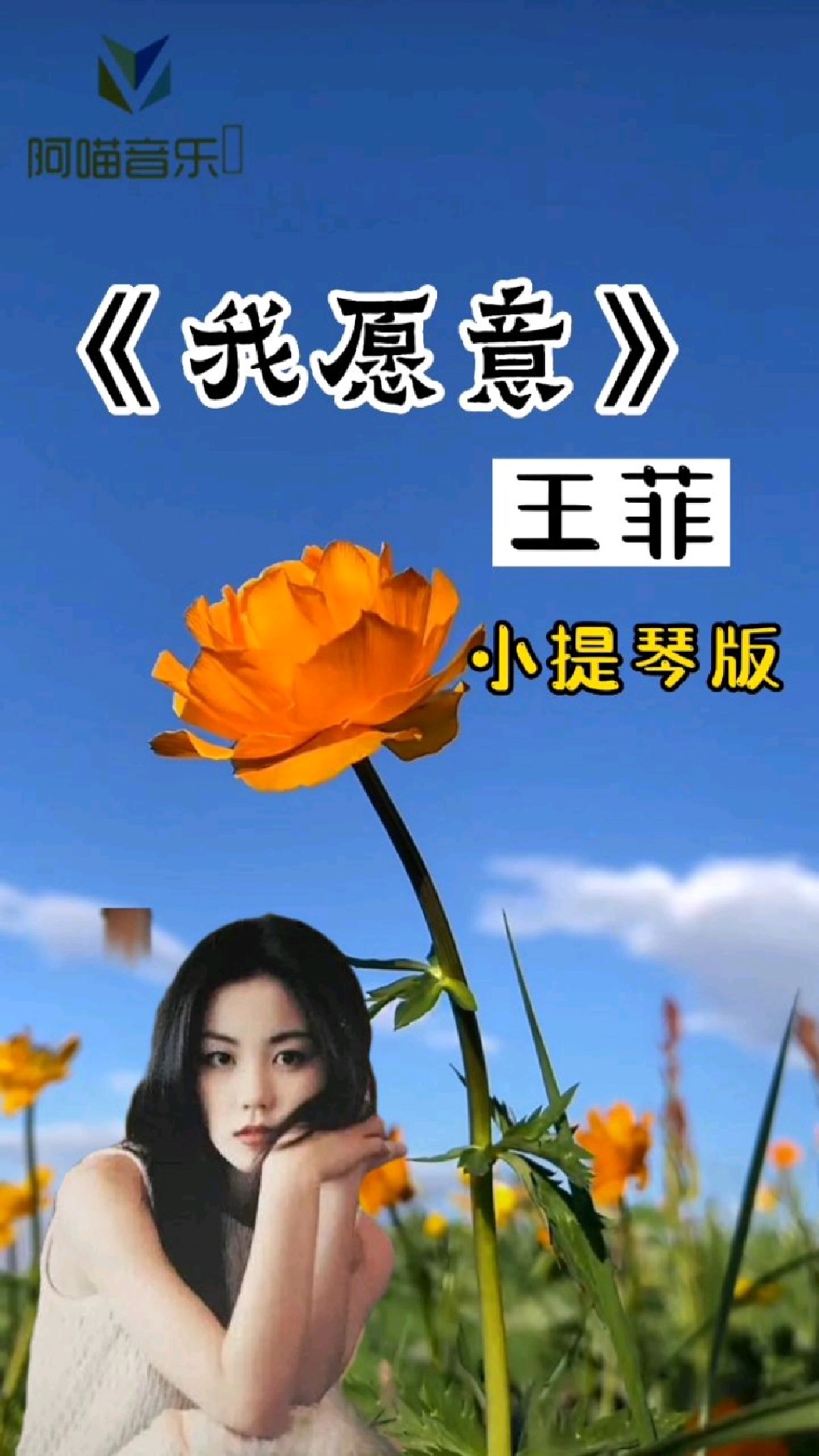 王菲《我愿意》,因为爱情,心甘情愿.因为是你,所以我愿意!