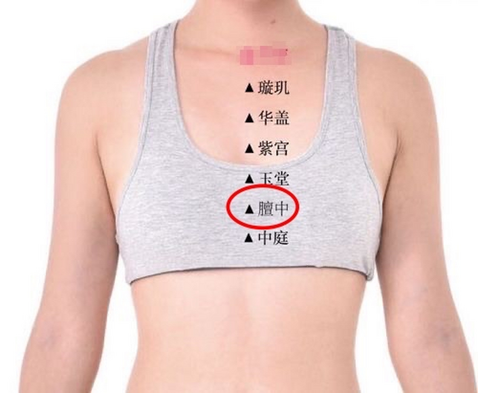 今天为大家分享心脏健康的养生知识: 中医认为,心78主血脉,主神明