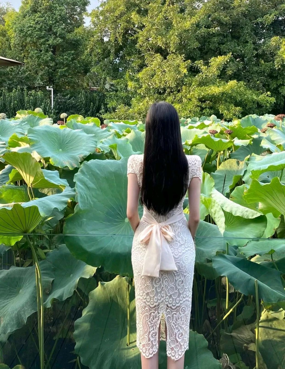 面容清秀,婀娜多姿,肤白貌美,妥妥的江南美女.当真是一方水土养一方人