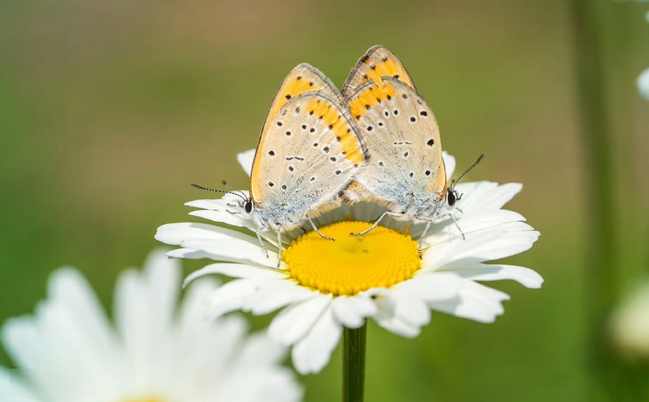 欣赏并感受全球摄影人记录的美好瞬间