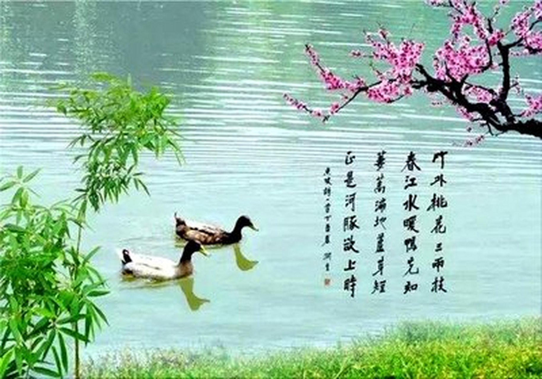 福州市花兰1套林梦洁小演员朗诵 林梦洁:春江晚景 唐·张九龄 江林多