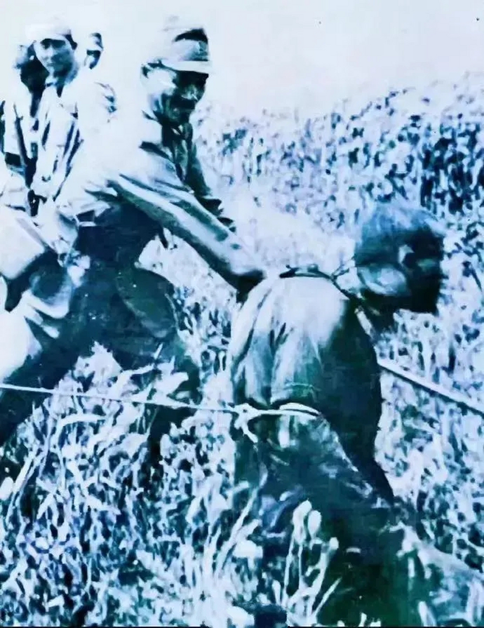 1938年,日本鬼子在中国滥杀无辜的真实影像.