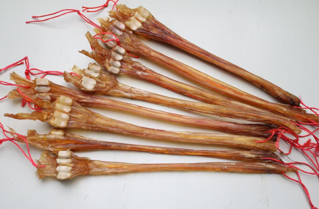 新麓说鹿之——鹿筋