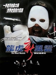 龙虎新风云（）