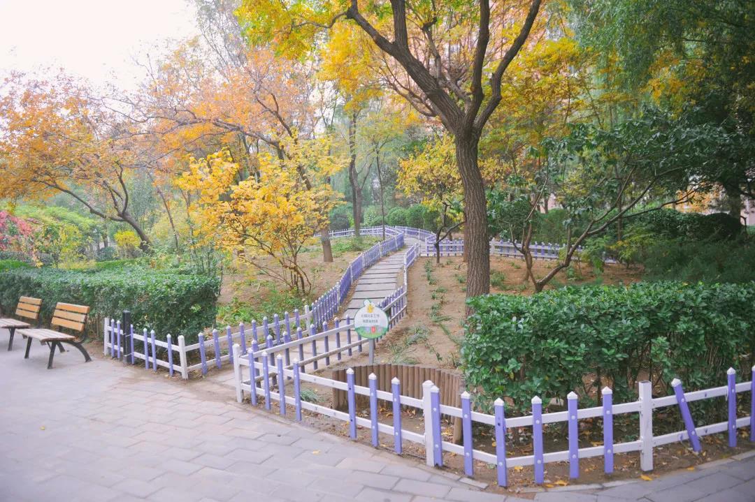 首都绿化委员会对育慧西里"花园式社区"创建工作进行验收