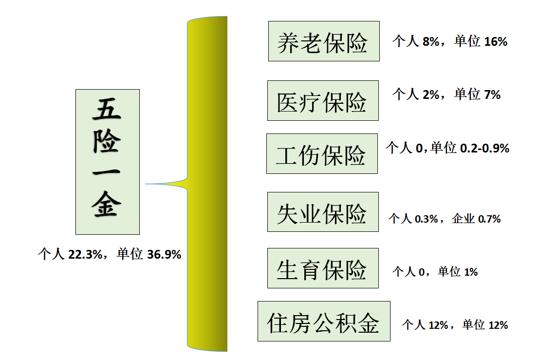 五险一金缴费比例