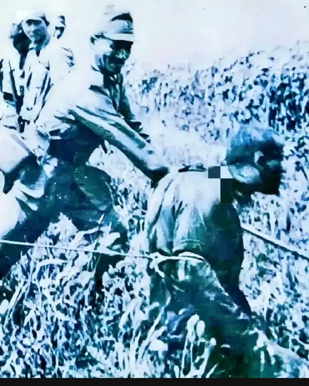 这是1937年,南京郊外,一张令人痛心的老照片,拍摄于南京大屠杀期间