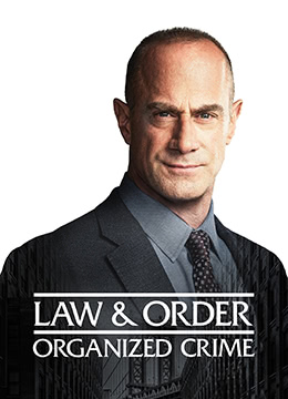 法律与秩序：组织犯罪第二季彩