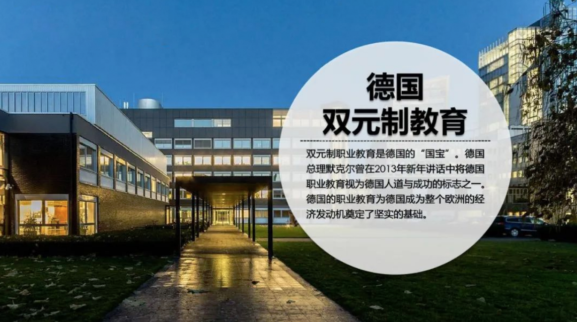 "双减"就是对标德国职业教育吗?|若镜洞察