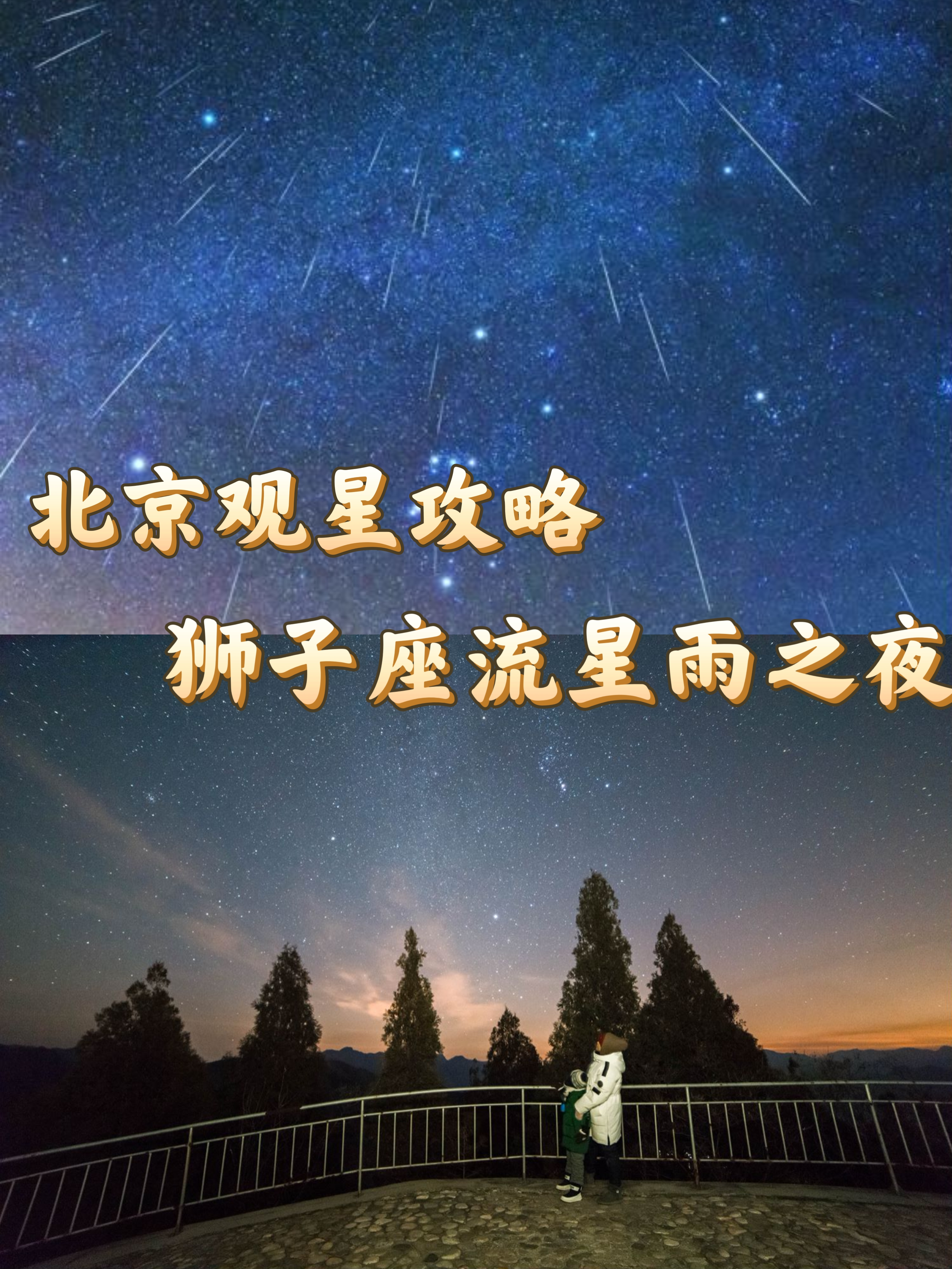 狮子座流星雨最大一次图片