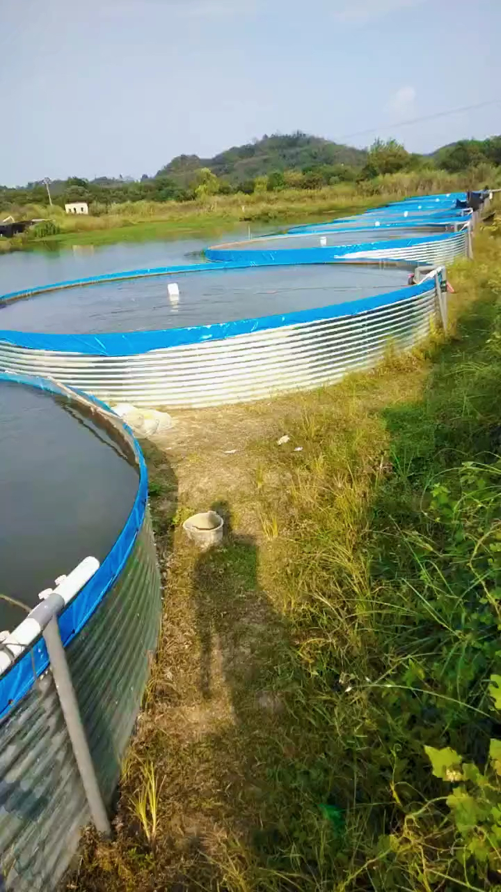 镀锌板帆布水池8米直径145高的池子一整套养殖设备欢迎大家关注