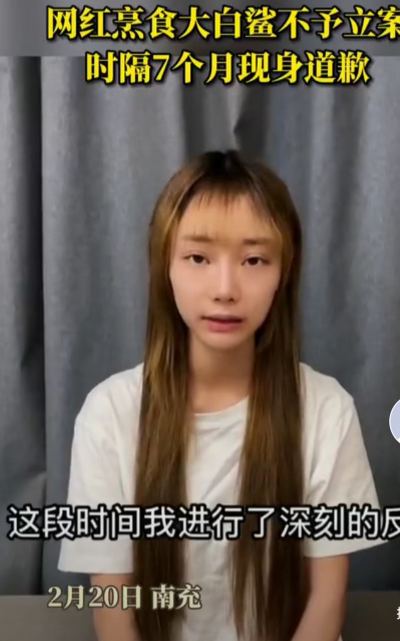 "烹食大白鲨的网红复出",网友发现网红博主提子在消失7个月后复出