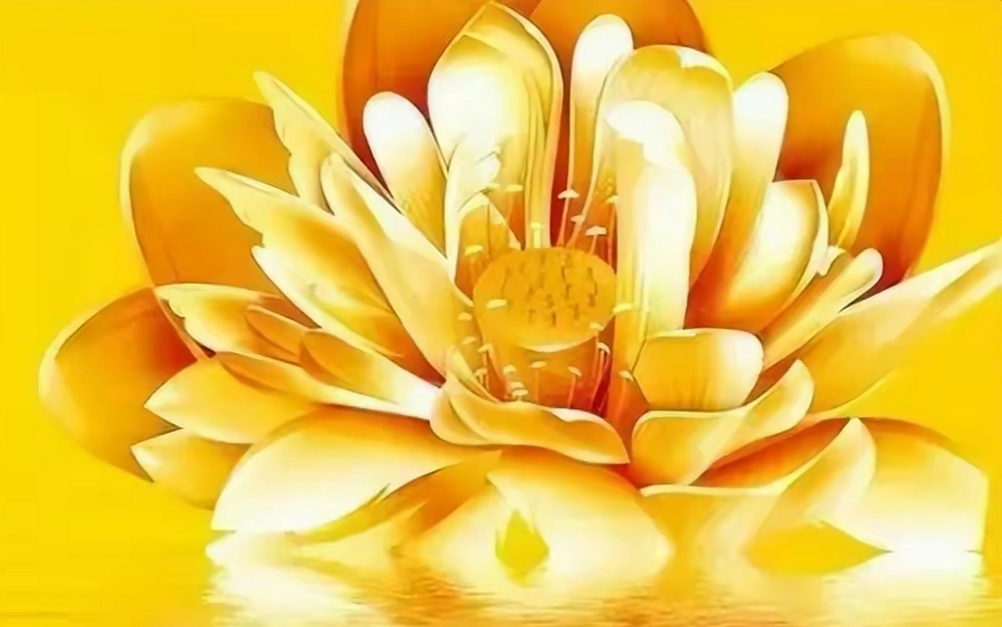 做人,养成了这两个习惯,往往福气相随,好运相伴  人生的命运乃是自己