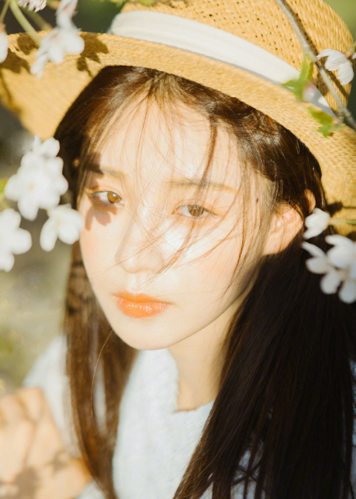 明星写真美图|周二珂