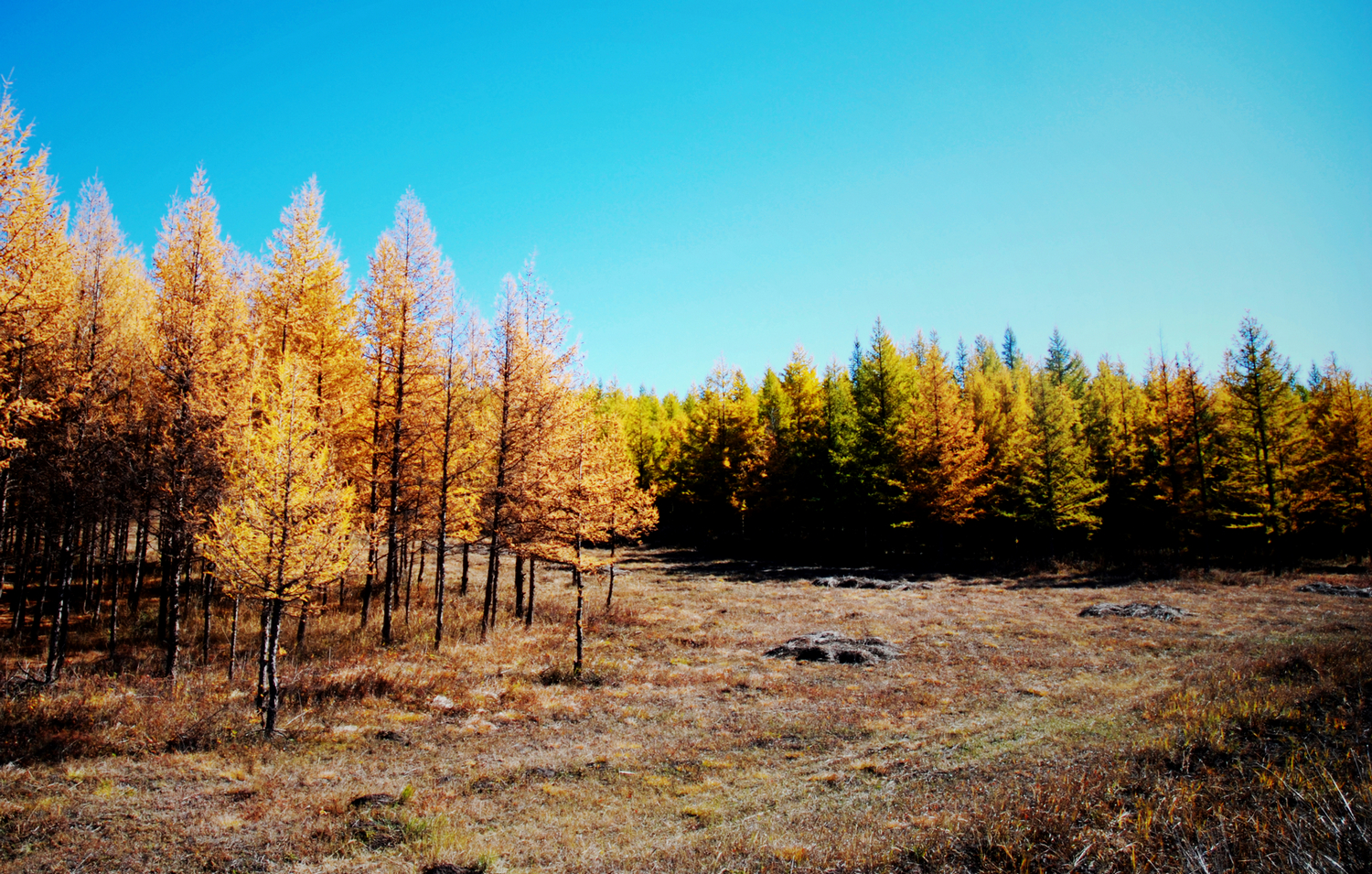 我国有一座机场,坐落在神秘的原始森林中,仅有三个城市可以到达