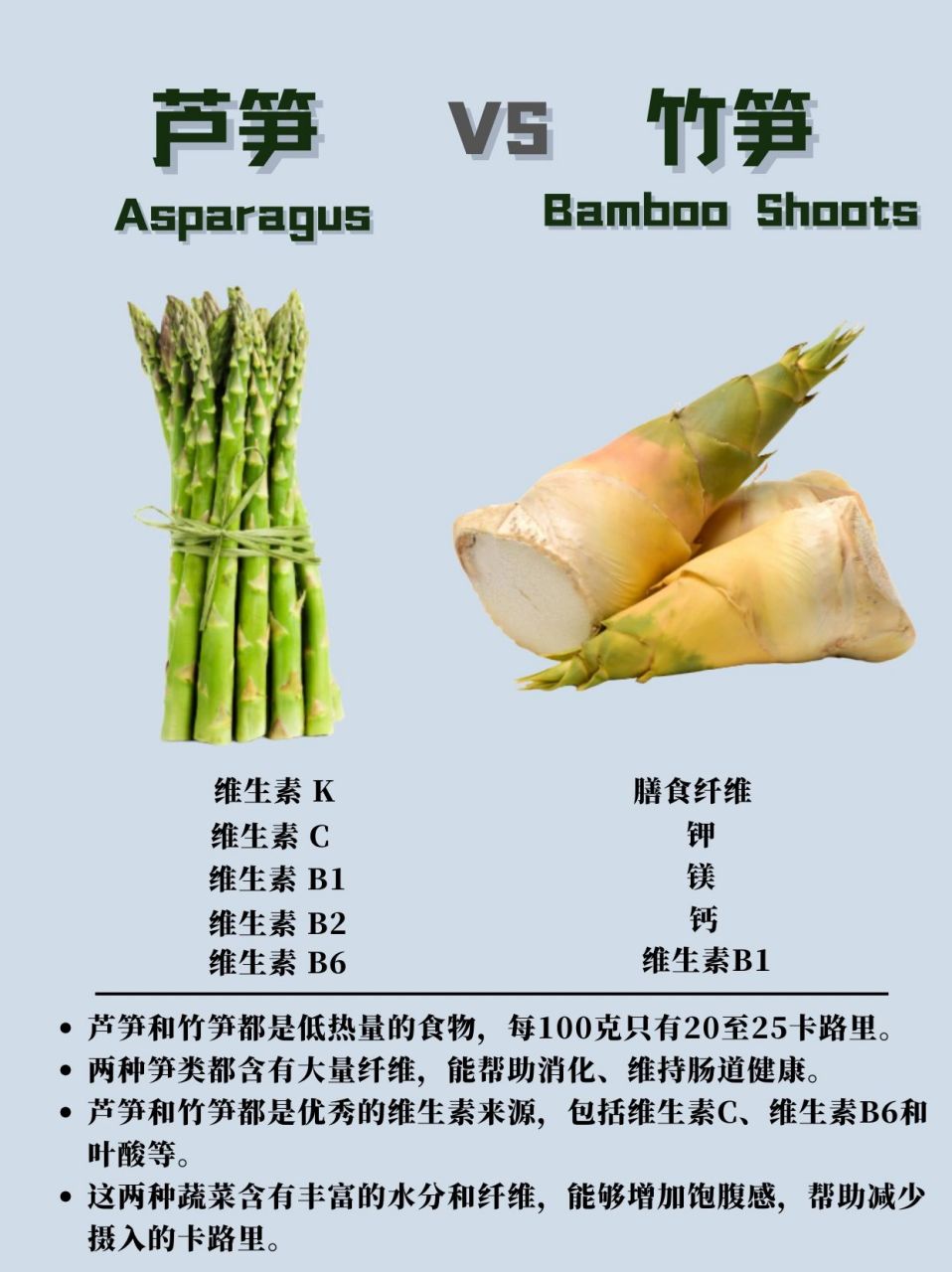 竹笋的种类介绍和图片图片