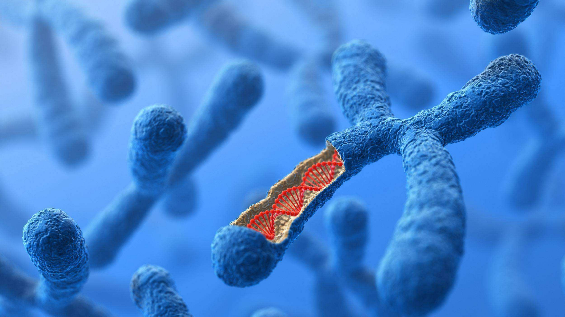 360  世界上最古老史前病毒,潘多拉病毒被科学家复活,一国际科学家