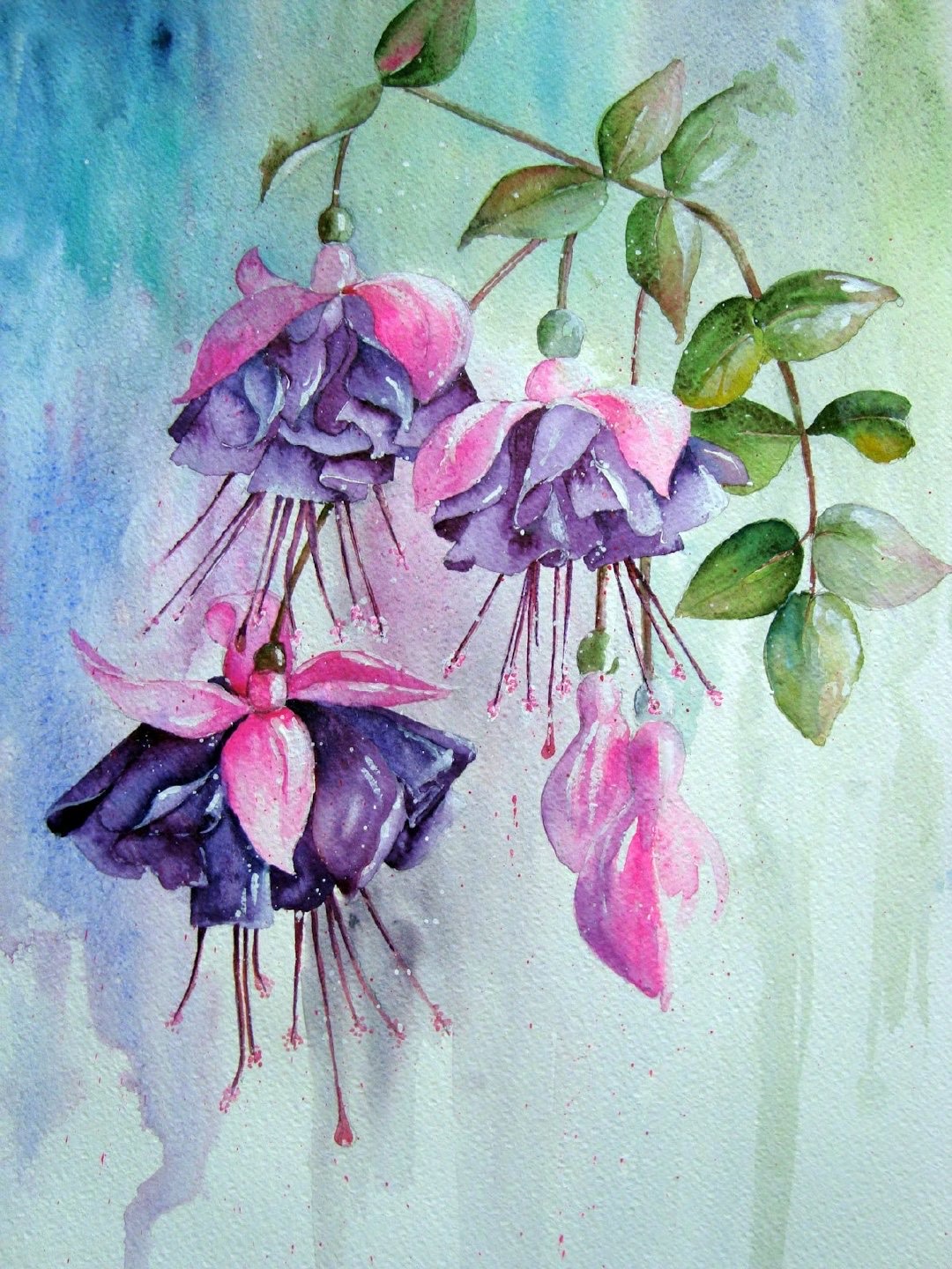 唯美清新的花卉作品|水彩画家 yvonne harry