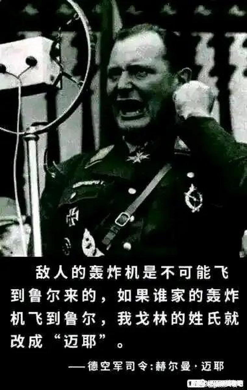 二战德军空军司令迈耶[二哈]