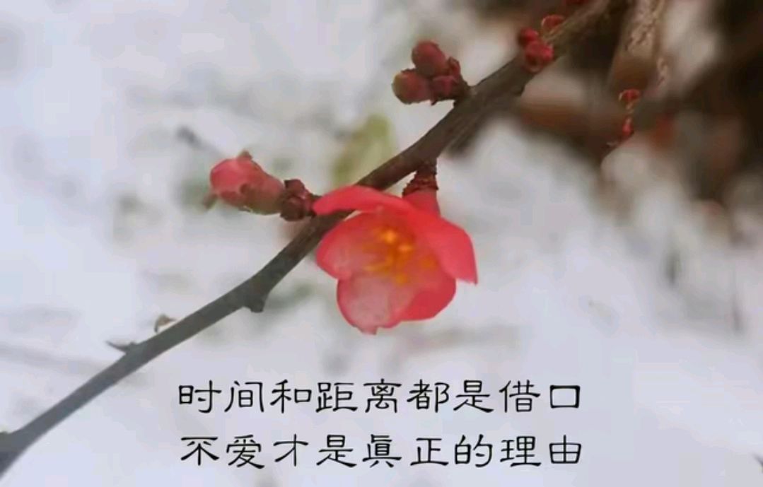 费尽心机换来的爱情,终究是一场空