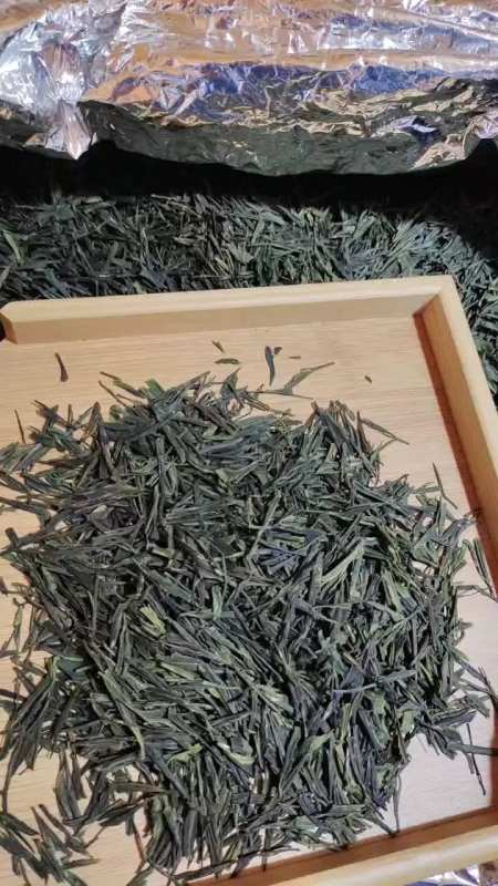 崂山绿茶五月初头胚大田扁茶顶级品质-度小视