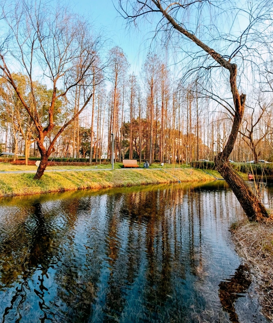 上海浦东张江碧波公园万众数目公园