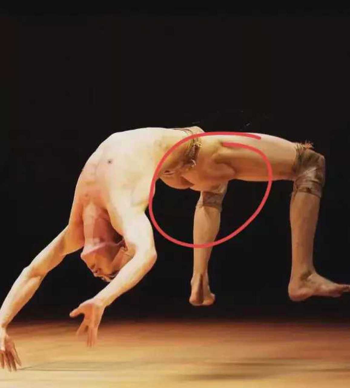 9月5日,有观众晒出杨丽萍舞团最新演出的照片,男舞者竟然直接穿上了