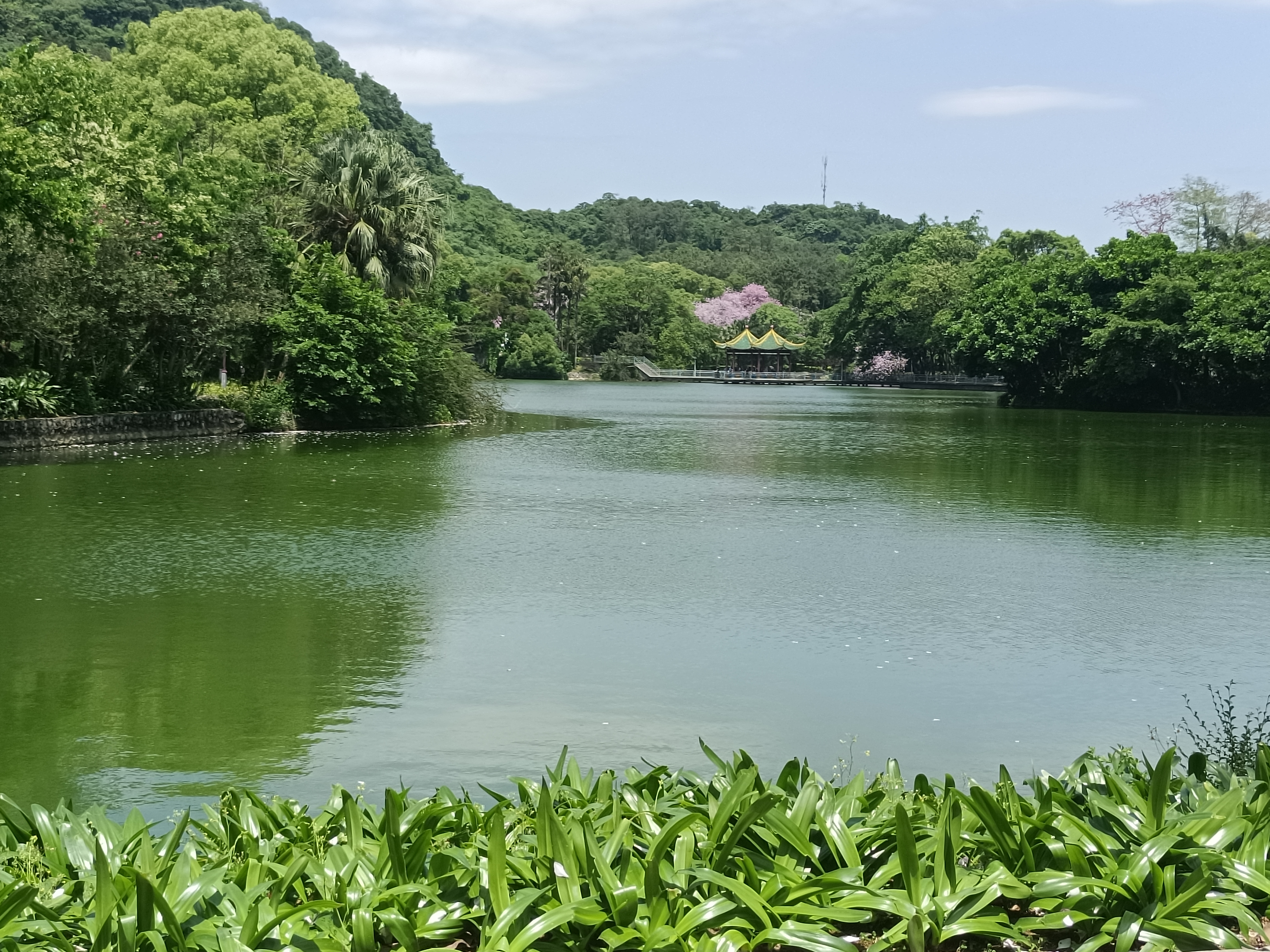 柳州都乐岩风景区图片图片