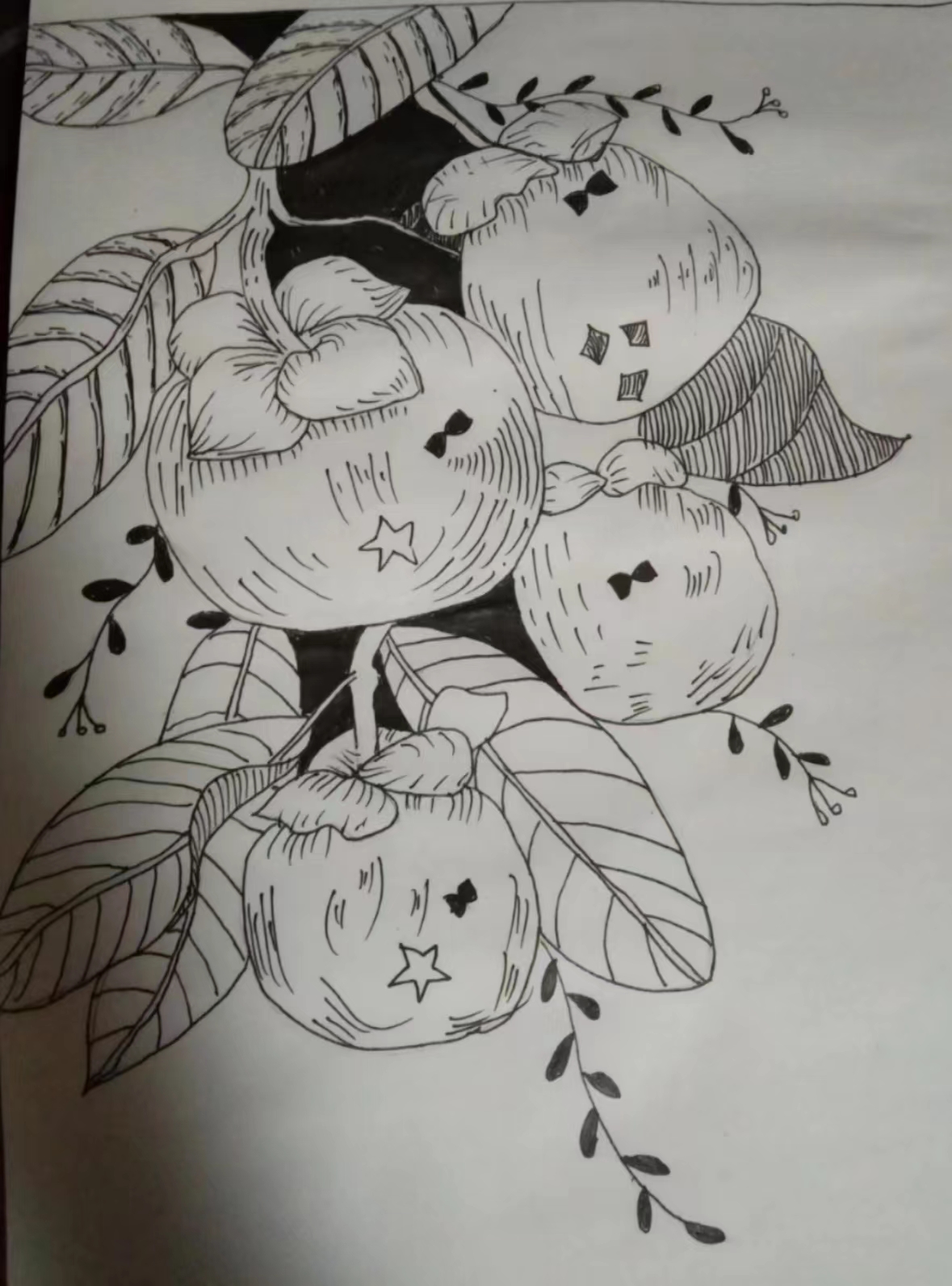 杨梅树绘画图片