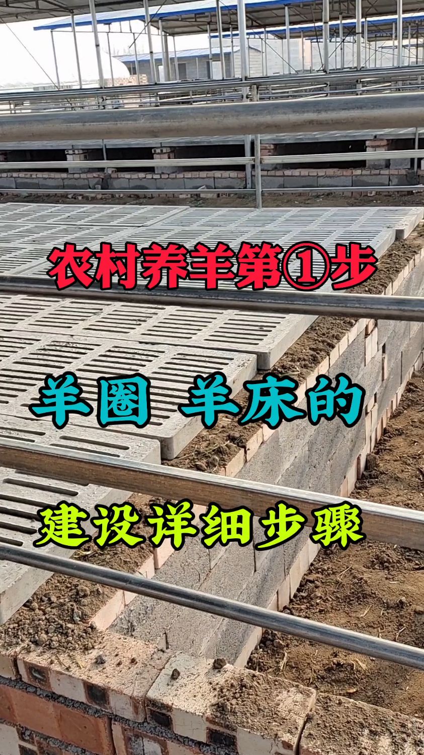 农村养羊第一步羊圈羊床的建设详细步骤