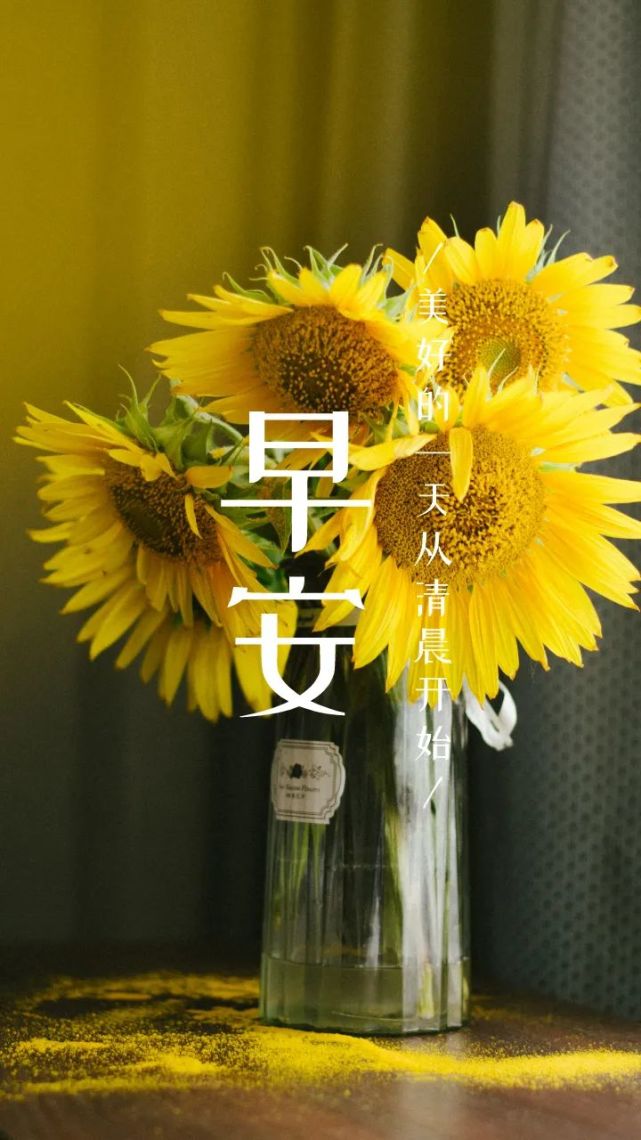 好喜欢好喜欢这段话,很符合当下.@月光有情h的动态