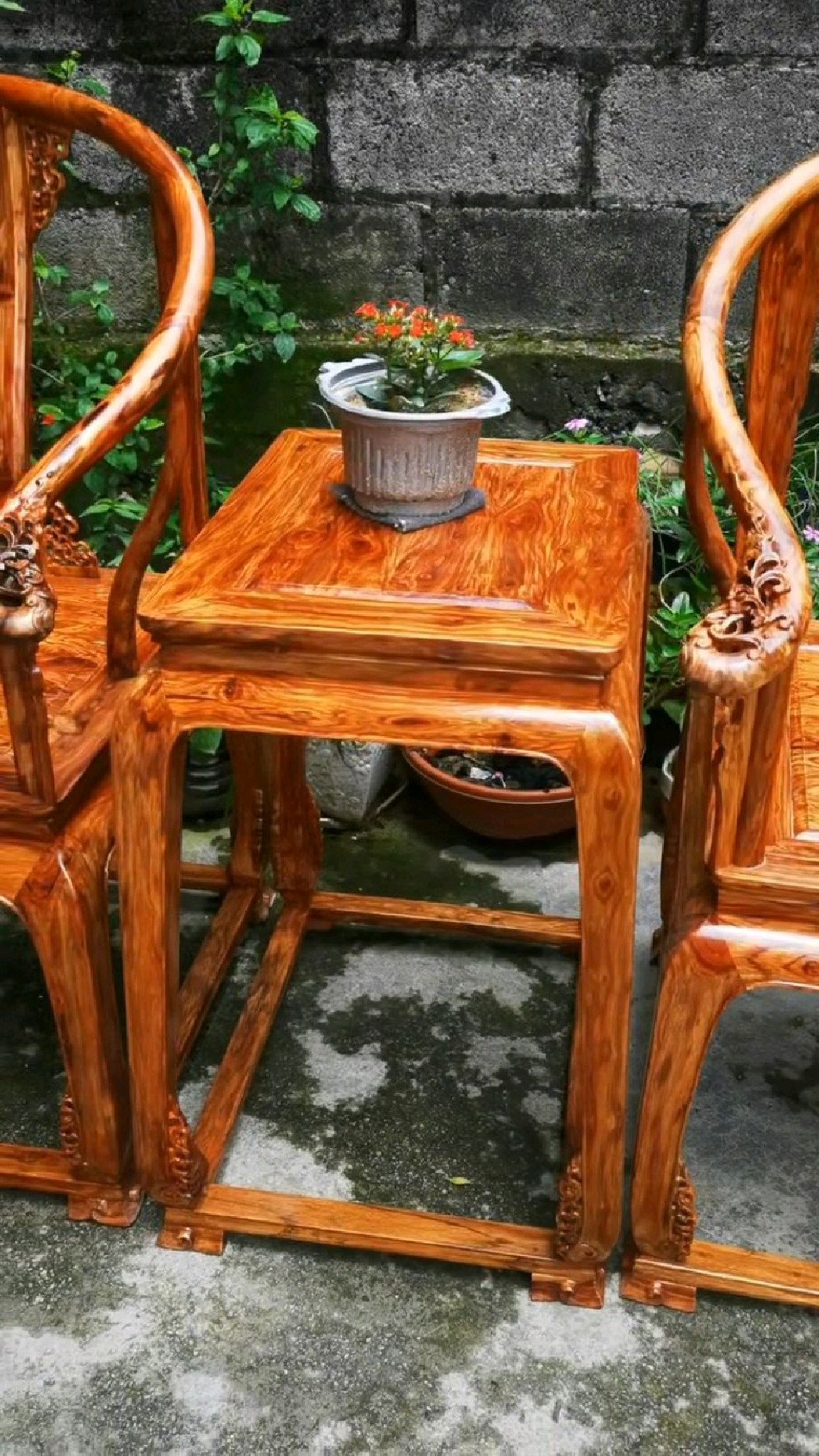 黄花梨俗称降香黄檀也叫香枝木有着提神和降血压的功效