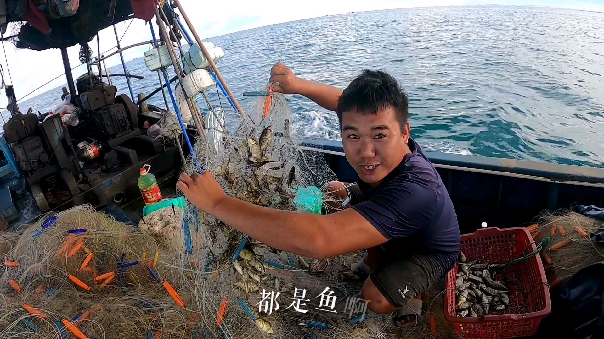捉沙丁鱼,偶遇泥猛鱼群,一窝不低于上百条鱼,太给力了