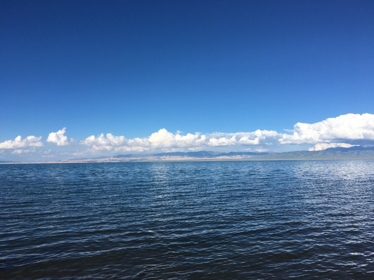 青藏高原有一湖泊青海湖,这里的风景如仙界一般,值得去游玩