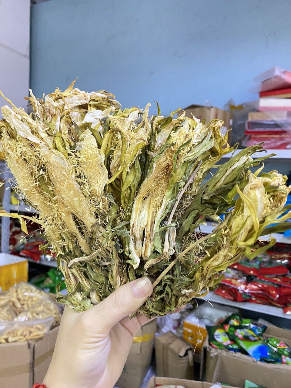 霸王花的功效:清新润肺,养阴补虚,养颜护肤!