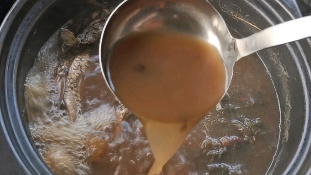 老广教你煲棉茵陈鲫鱼汤,清肝利湿,肝火旺的年轻人要多喝这碗汤