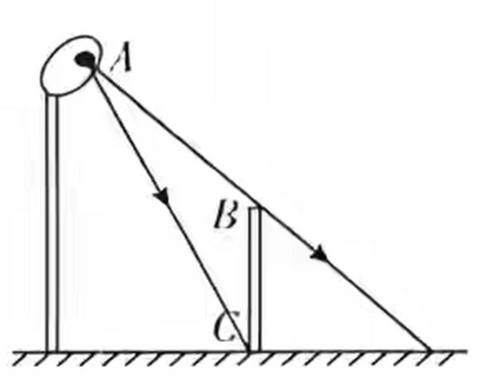 八年级物理光学作图题分享(1)如图所示,一根竹竿bc竖立在地面上,请画