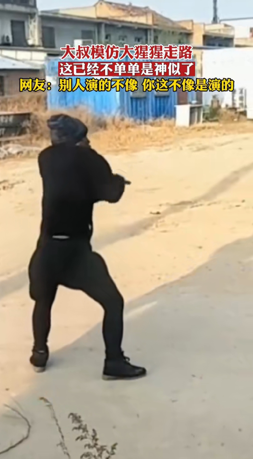大叔模仿大猩猩走路 这已经不单单是神似了 网友:别人演的不像 你这不