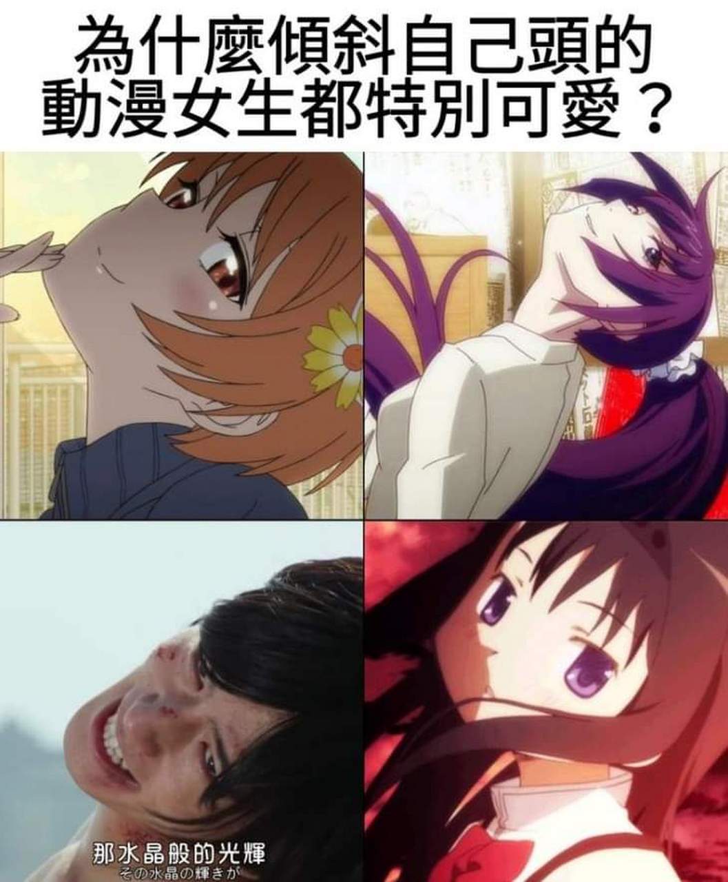 关于停云的 歪头我有话要说:)