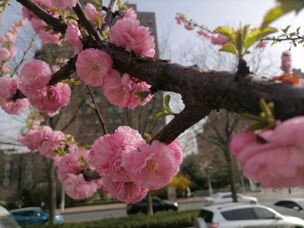 女人离婚后的几种心态