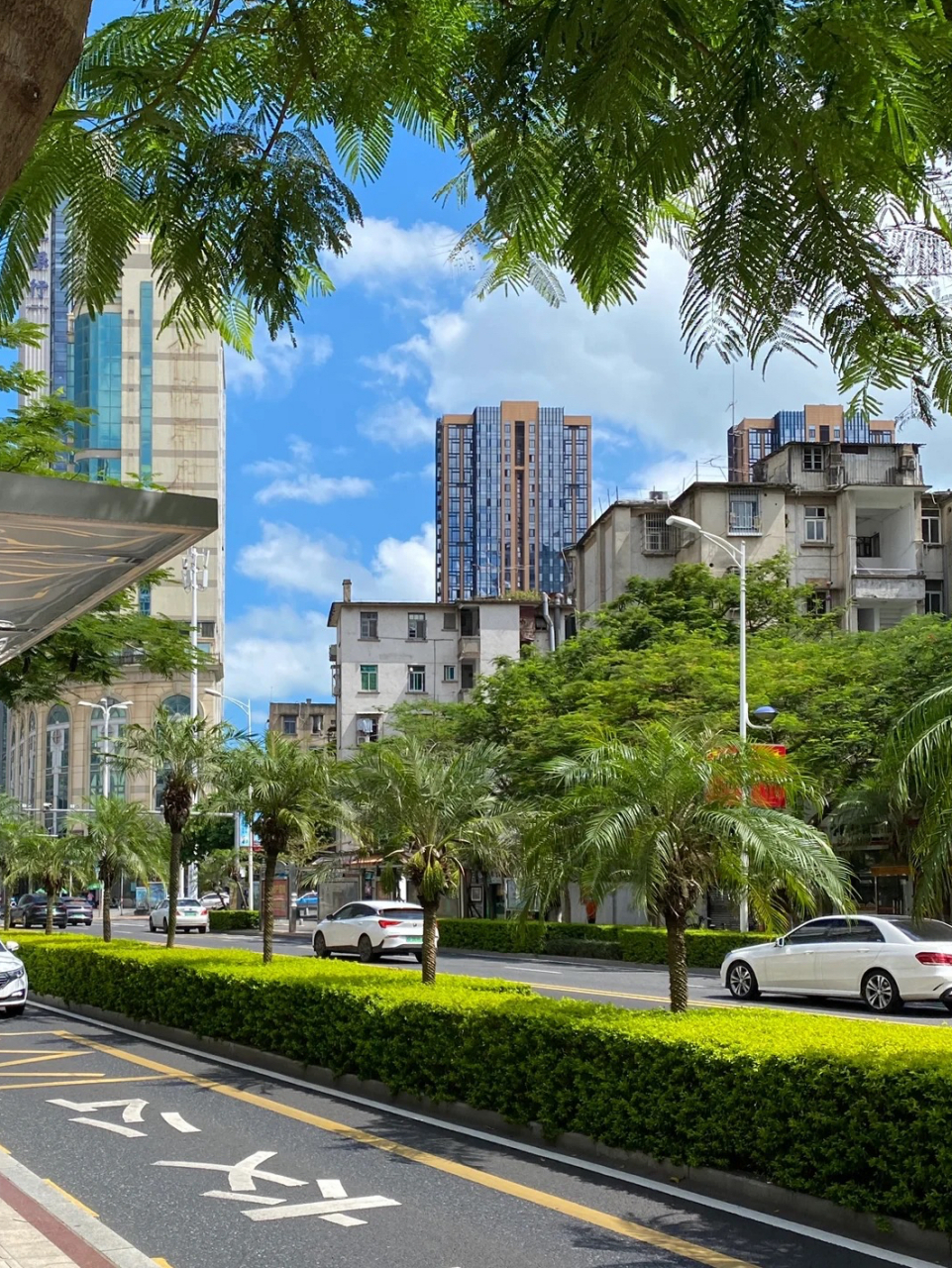 我姐带着一家五口上周去了厦门旅游,整整六天五晚,花了1万块钱,可是