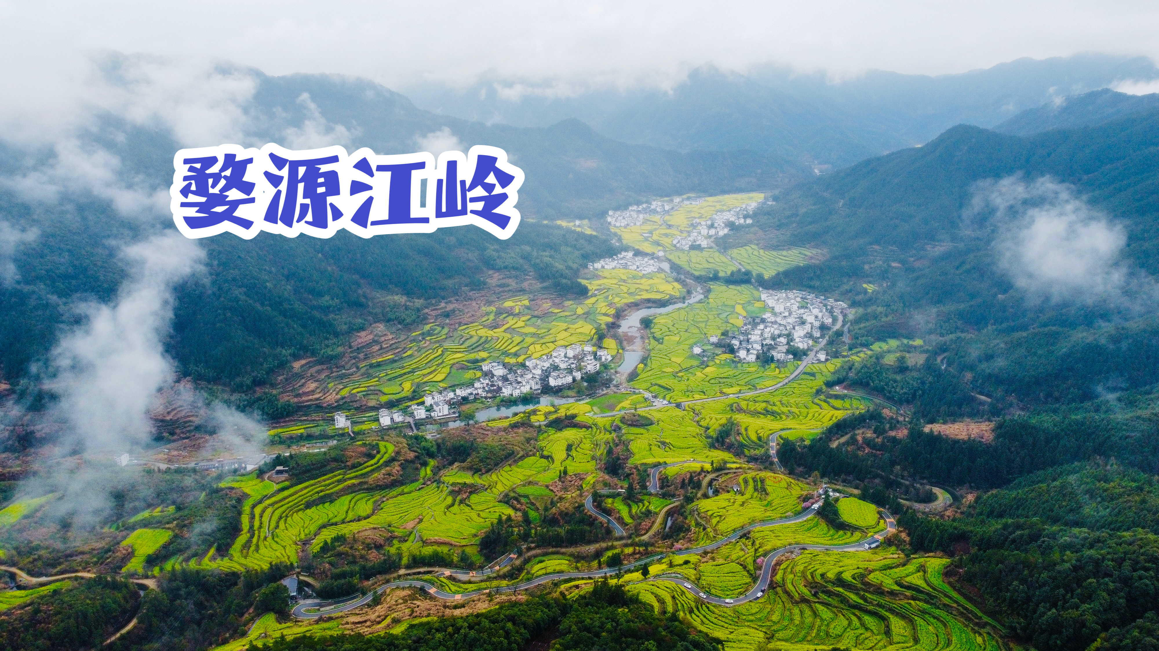 江西婺源江岭,梯田油菜花盛开,美景如画