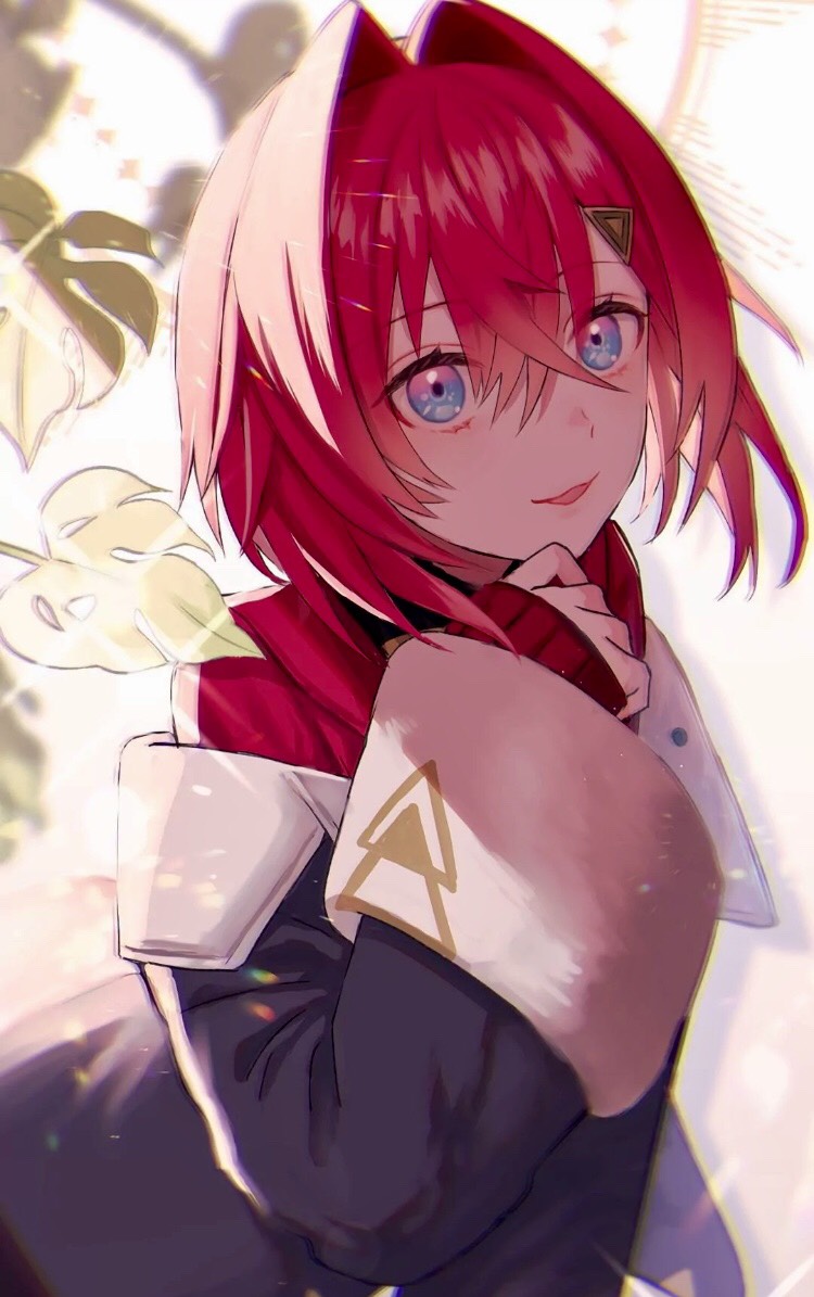 二次元动漫壁图,来了